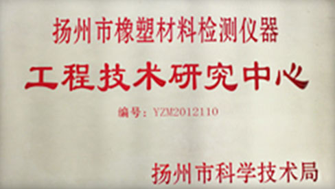 2019，鑫天匯逐夢前行!共贏豬年!